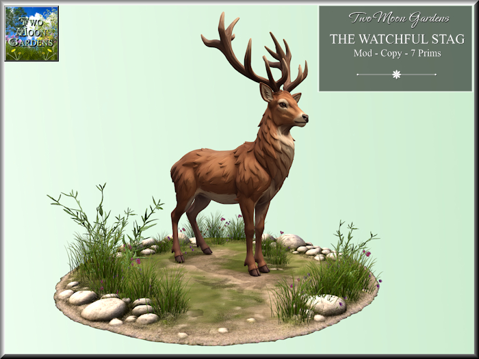Stag