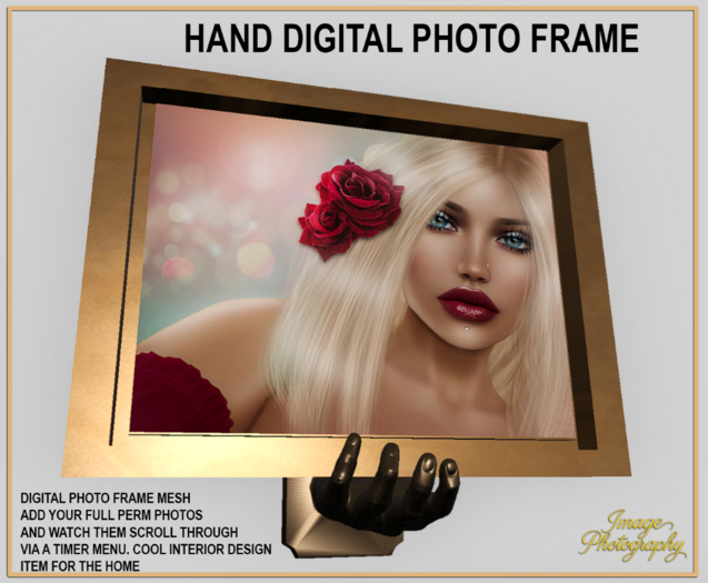 PAIR OF HANDS FRAME