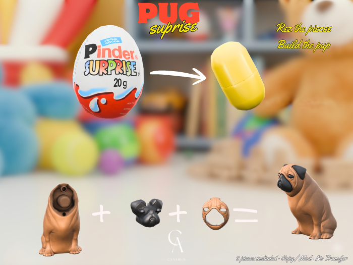 Pug Suprise - CANARUN (Rezzme)