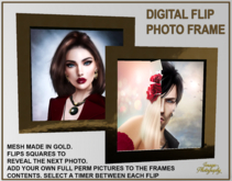 IMAGE PHOTOGRAPHY - DIGITAL FLIP PHOTO FRAME