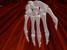 TM Hand Bones - FP - Full Permissions - Halloween