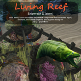 Inochi Reef - Shipwreck D (stern)