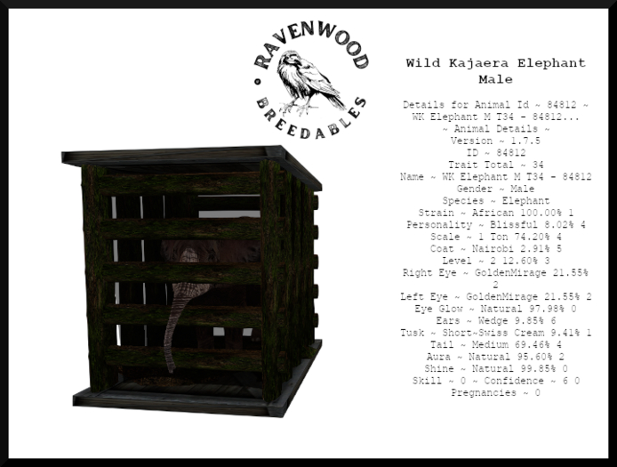 WK Elephant M T34 - 84812