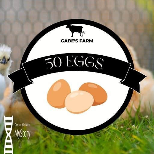 Mystory Eggs 50