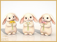 Easter Daisy Bunny Pack FULL PERM
