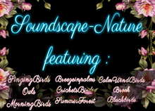 Bunny's Sounds-Soundscape-Nature Bird Sounds