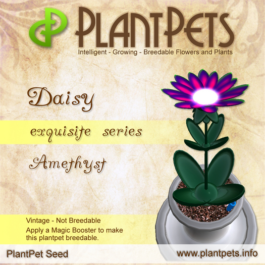 PlantPet Seed [Daisy *Amethyst*] Rare Vintage