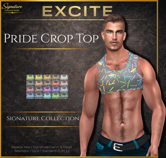 Excite Pride Crop Top