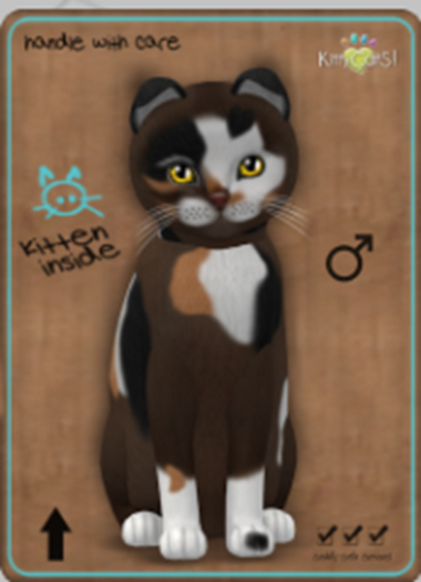 KittyCatS Box - Genesis - Patch II (125)