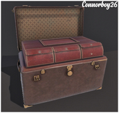 (Milk Motion) Cabin No. 7 - Malle TRAVEL TRUNK 