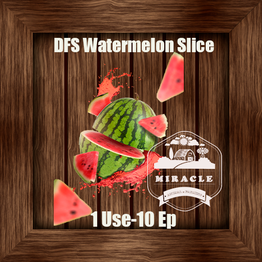 [20] DFS Watermelon Slice