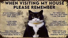 Poster-Cats-When Visiting Remember