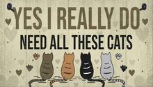 Poster-Cats-Need All These Cats
