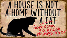 Poster-Cats-Knock Things Over