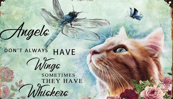 Poster-Cats-All Angels