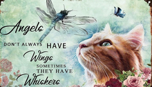 Poster-Cats-All Angels