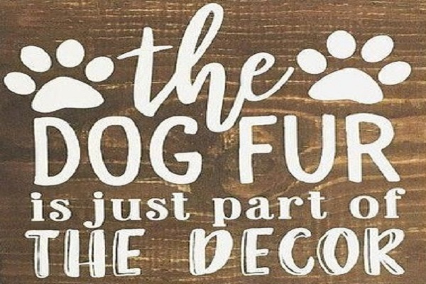 Poster-Dogs-Dog Fur