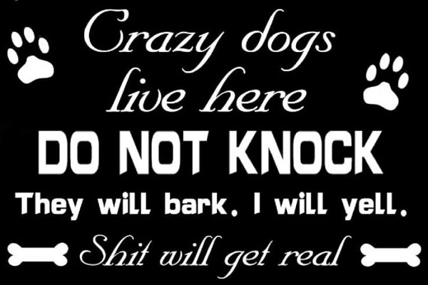 Poster-Dogs-Crazy Dogs