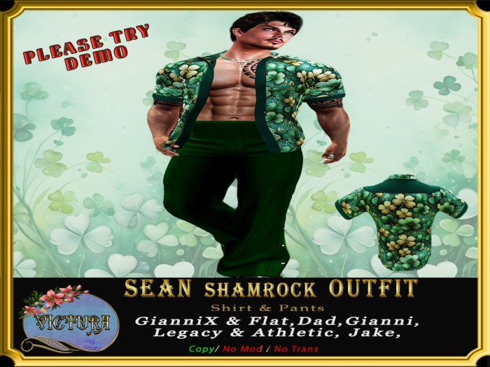 Sean Shamrock Outfit 
