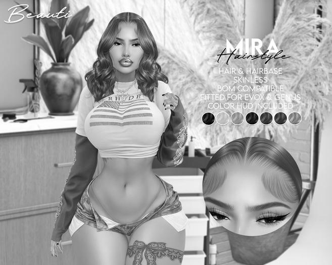 [B.] - Mira DEMO