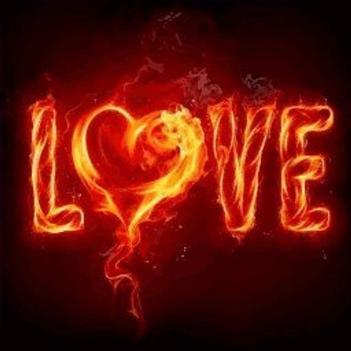 Love  Neon Sign Only 99L$