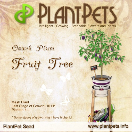 PlantPet Seed [Fruit Tree *Ozark Plum*] RARE ELITE