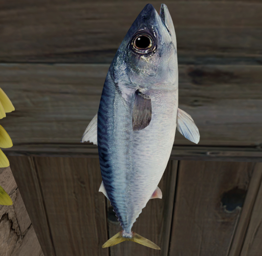 Mackerel