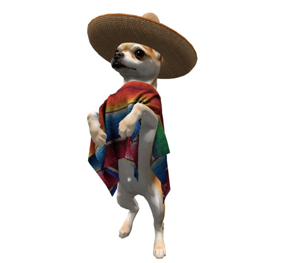 15. Mutresse-Tiny Chihuahuas RARE