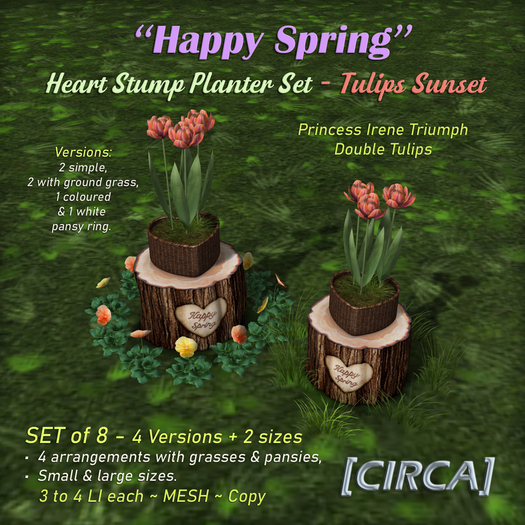 [CIRCA] - "Happy Spring" Heart Stump Planter Set - Tulips Sunset