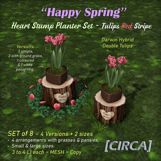 [CIRCA] - "Happy Spring" Heart Stump Planter Set - Tulips Red Stripe