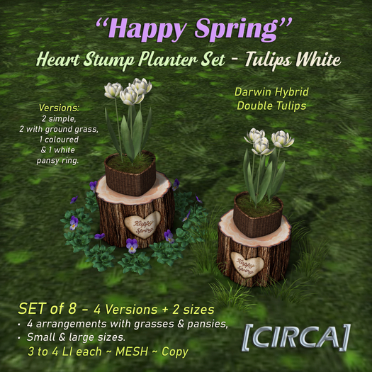 [CIRCA] - "Happy Spring" Heart Stump Planter Set - Tulips White