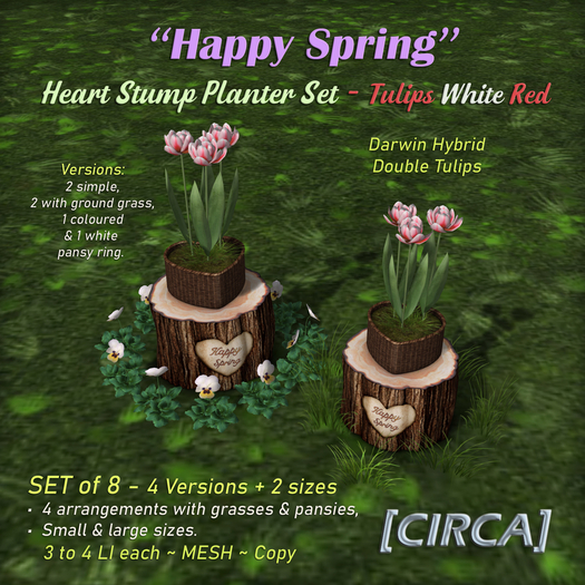 [CIRCA] - "Happy Spring" Heart Stump Planter Set - Tulips White Red