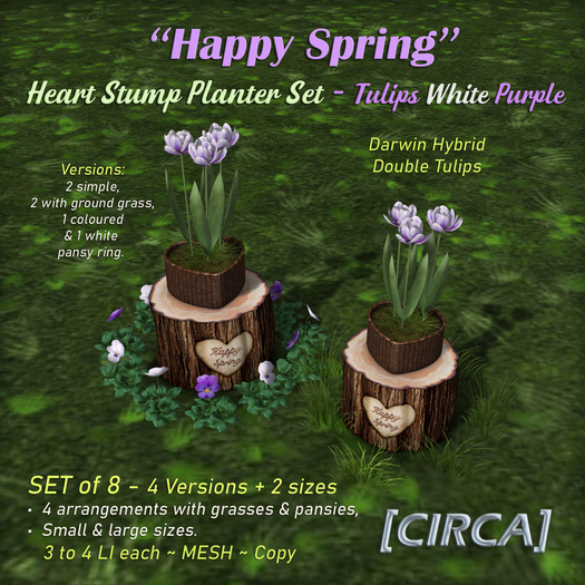 [CIRCA] - "Happy Spring" Heart Stump Planter Set - Tulips White Purple