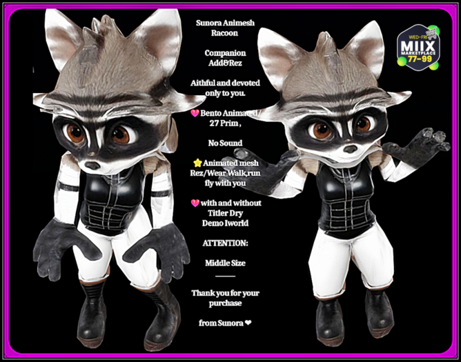 Sunora Animesh Racoon