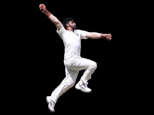 Cricket Bowler