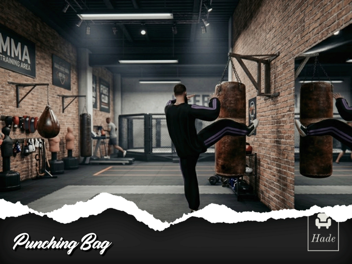 Hade - Punching bag