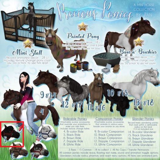 JIAN Precious Ponies 5. Black Ride BOX