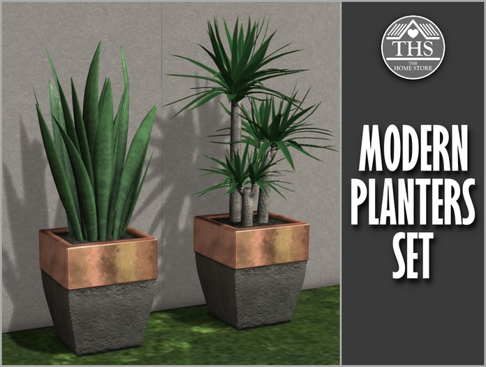 MODERN PLANTER
