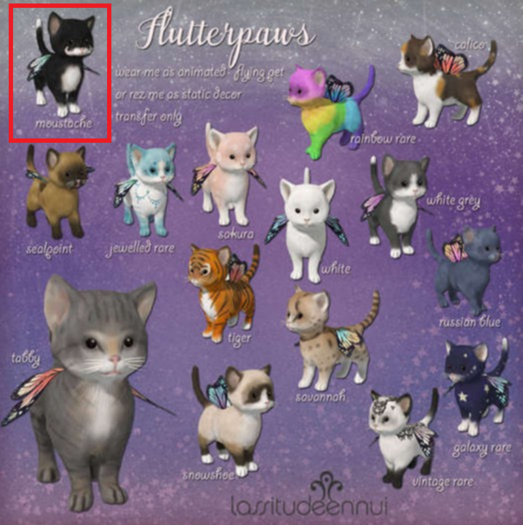 lassitude & ennui Flutterpaws moustache cat