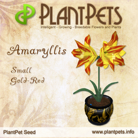 PlantPet Seed [Amaryllis *Small Gold-Red*] RARE ELITE