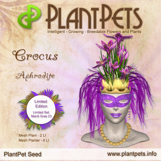 PlantPet Crocus *Aphrodite*