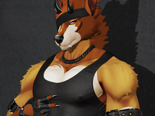 ![URM]! Puppo/Abaddon/Gazer Stubble BOM