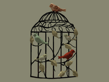 wrought iron bird cage 3D wall hanging  Full Perm