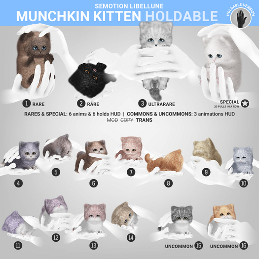 SEmotion Libellune Munchkin Kitten Holdable COMMON 12