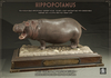 Dirty Rat - Hippopotamus