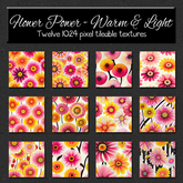*Wallflowers* Flower Power - Warm & Light