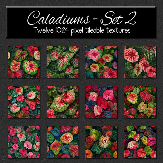*Wallflowers* Caladiums - Set 2