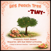 DFS Peach Tree - TINY - ACTUAL ITEM