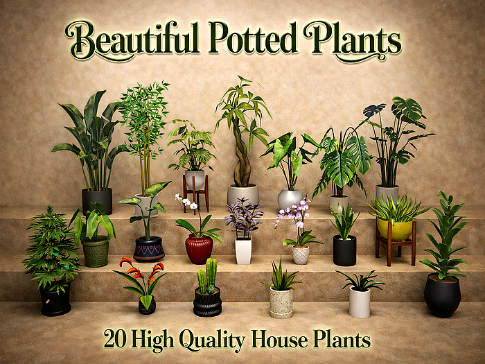 Beautiful Potted Plants