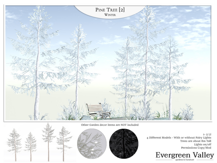 Pine Tree [2] Winter